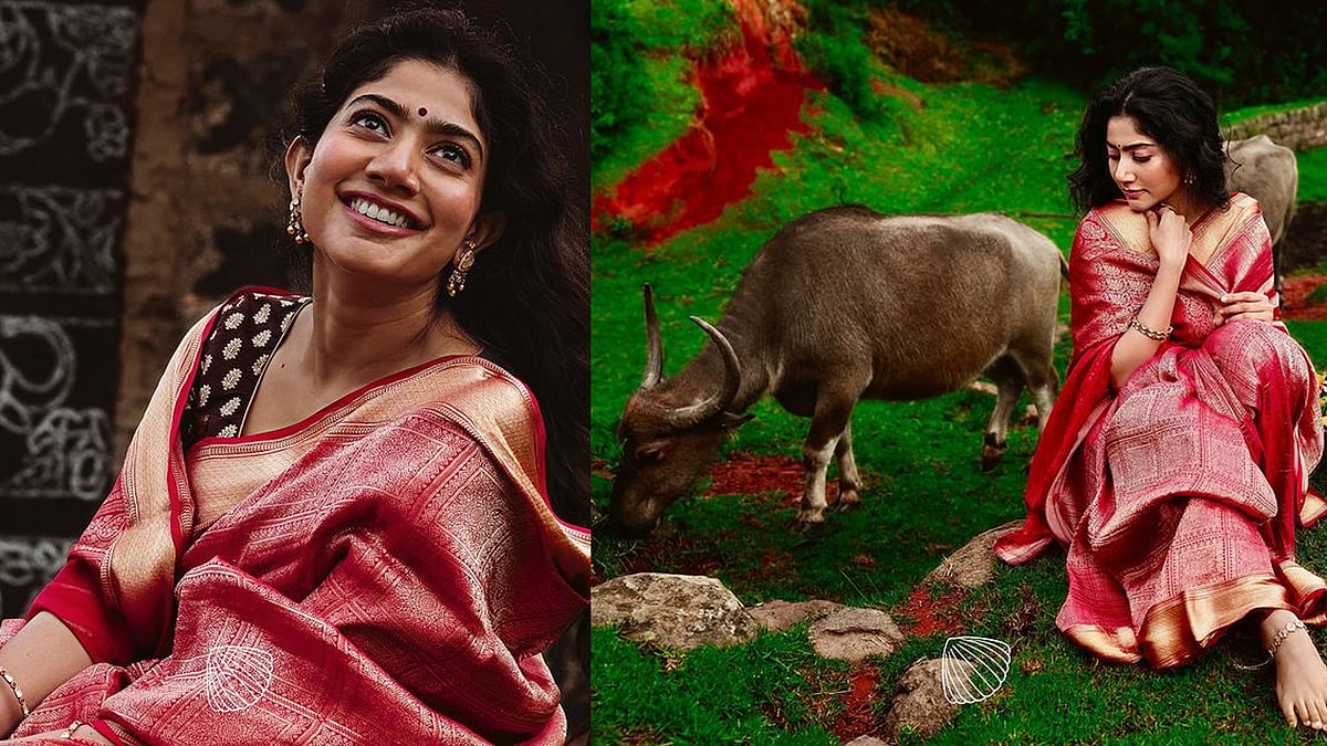 'ഒരു വര്‍ഷം മുന്‍പ് എടുത്ത ചിത്രങ്ങൾ, പക്ഷേ...'; കുറിപ്പുമായി സായ് പല്ലവി